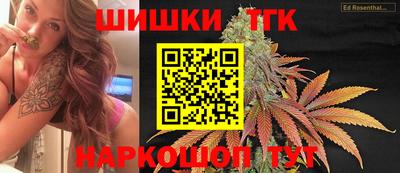 стаф Кандалакша
