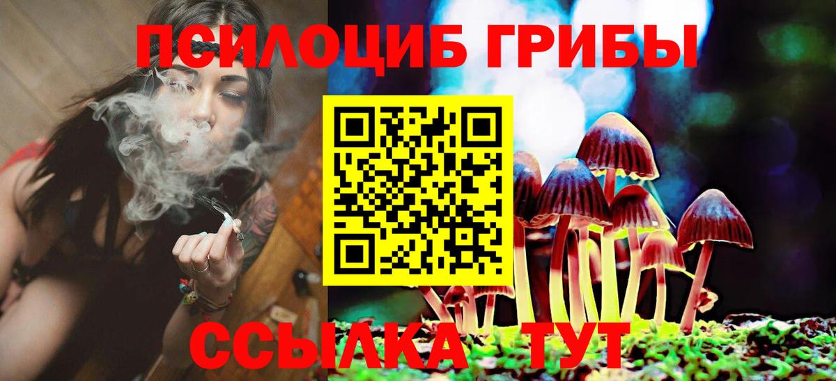 Псилоцибиновые грибы ЛСД  Вход с VPN  Псилоцибиновые грибы Cubensis  где купить наркотик  Георгиевск 